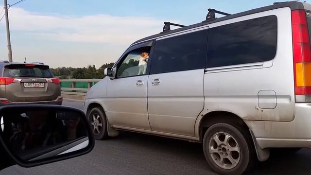 Собака за рулем смотреть онлайн