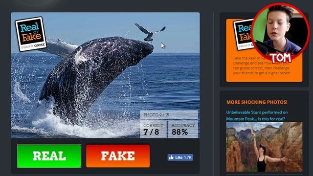 REAL NEBO FAKE?! смотреть онлайн