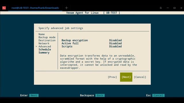 Veeam Agent for Linux: Easily Backup & Restore a Linux PC! (Tutorial) смотреть онлайн