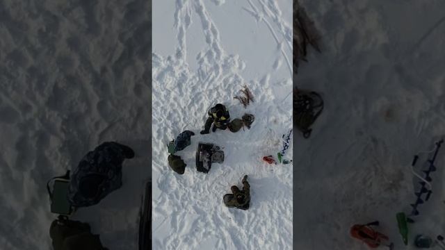 Рыбалка в Марий Эл #рыбалка #fishing #russia #dji смотреть онлайн