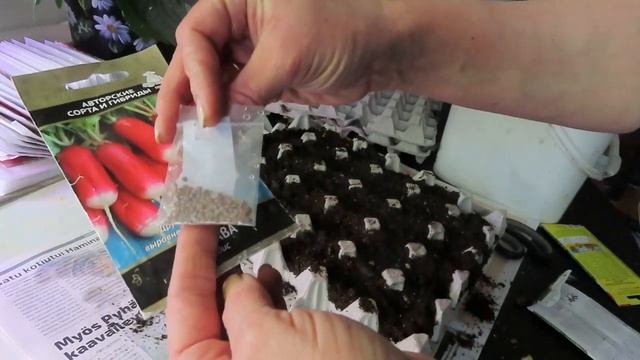 Проверенный способ ПОСЕВЫ В ЯИЧНЫЕ ЛОТКИ, СУПЕР РЕЗУЛЬТАТ,мой любимый способ смотреть онлайн