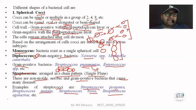 Part-6|Respiration in Bacteria|Shape of bacteria|Rod shaped bacteria|Monera kingdom|Obligate| смотреть онлайн