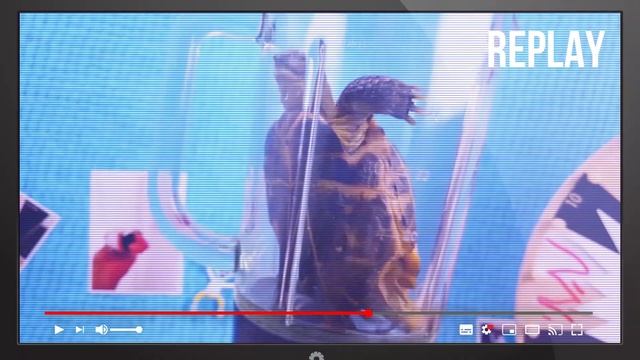 НОВОГОДНЕЕ ПОЗДРАВЛЕНИЕ 2021 ОТ СВИНКИ БУЗИ