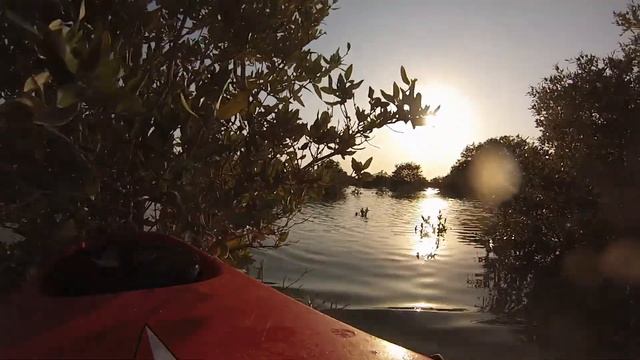 kAYAK 3 DOH смотреть онлайн