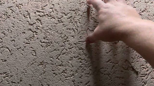 Mediterranean house Gecko | Mediteranski kućni gekon | Геккон в Черногории смотреть онлайн