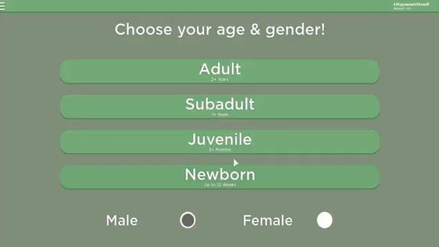 Female coat ideas #2 | Roblox Yellowstone смотреть онлайн