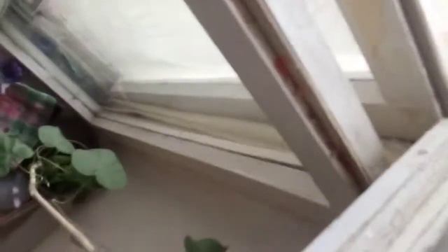 просто видео в дождливую погоду потому что я вас люблю мои подписчики(◍•ᴗ•◍)❤( ◜‿◝ )♡😍 смотреть онлайн
