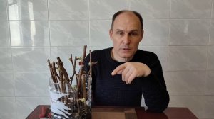 Укоренение  черенков  киви , большая ошибка при укоренении .