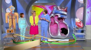 Жить здорово! Выпуск от 19.05.2016