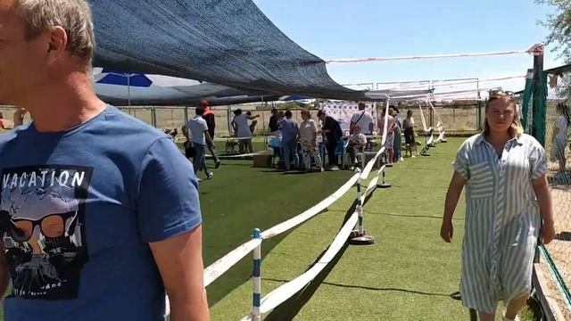 Выставка собак " Семиречье 2021",12-13 июня 2021 г. Капчагай ,Алматинская область смотреть онлайн