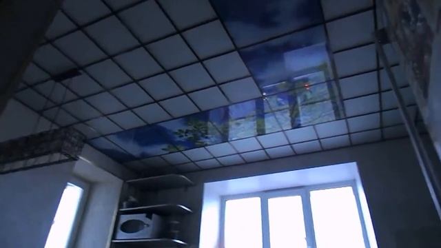 потолки из стекла в Рязани рисунок ветки березы и небо смотреть онлайн