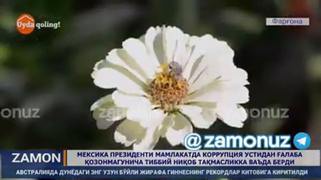 ХАЙРИЯ ИШЛАРИ ДАВОМ ЭТМОҚДА смотреть онлайн
