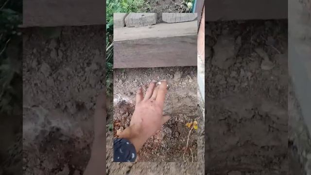 ручная выборка грунта #отмостка #укладкатротуарнойплитки#благоустройство