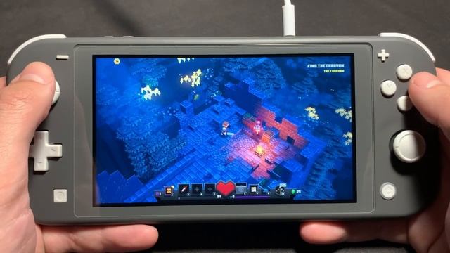 Minecraft Dungeons On Nintendo Switch Lite #1