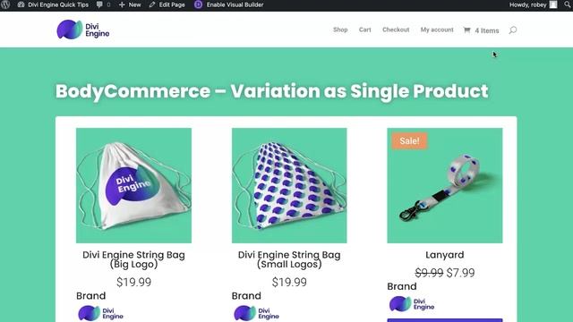 How to Add the Number of Items in Cart on the WooCommerce Cart Icon смотреть онлайн