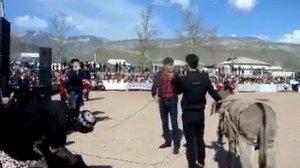 Наврузи хуросон