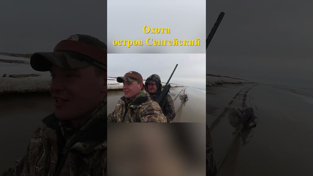 Охота на острове Сенгейский 21 #охотавроссии #охотанагуся смотреть онлайн