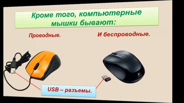Конструктивные особенности компьютерных мышей. смотреть онлайн
