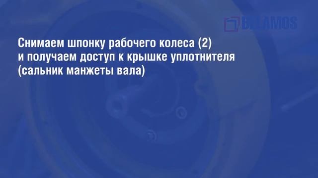 Разборка дренажных насосов серии DWP CS смотреть онлайн