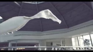 Натан и Тимати-Дерзкая