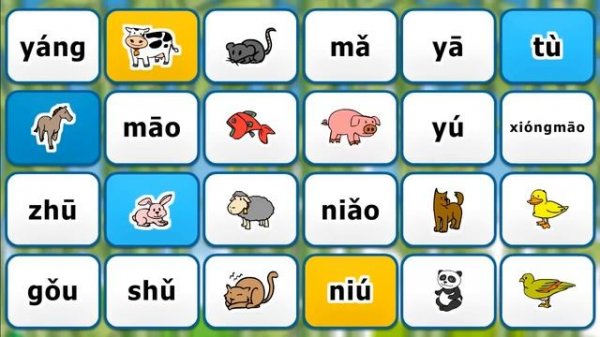Learn Chinese in 3 easy steps: Animals - dòngwù - 动物  English - Pinyin - Chinese Characters