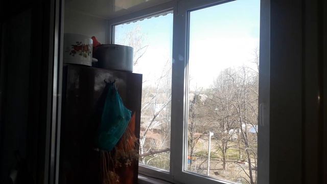 ПОЛЕЗНЫЕ СОВЕТЫ