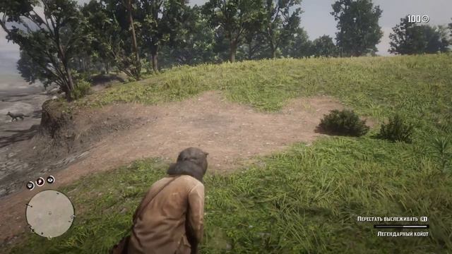 Легендарный Койот | Red Dead Redemption 2. (На PS4) смотреть онлайн