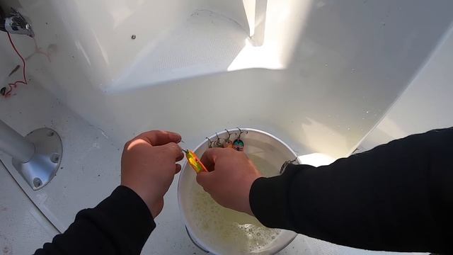 Underwater Salmon Bites. We put a Go Pro on a DOWNRIGGER Ball! смотреть онлайн