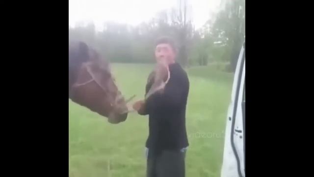 ОТЖИГАЮТ ТОПОВАЯ ПОДБОРКА ПРО АЛКАШЕЙ #алкаши #приколы #приколысалкашами смотреть онлайн