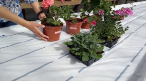 Как использовать капиллярные маты