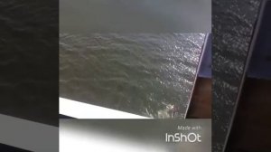 Прыгают с моста Победы в Балаково
