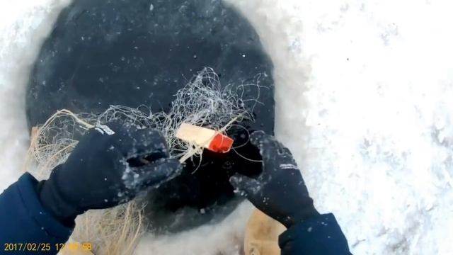 Зимняя рыбалка на Чукотке. Подлёдные сети смотреть онлайн