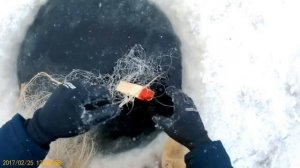 Зимняя рыбалка на Чукотке. Подлёдные сети