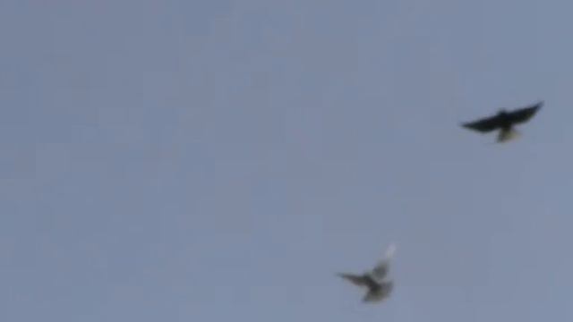 M2U00260 очередная тренировка 2013г смотреть онлайн