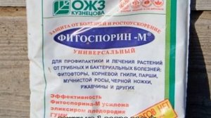Фитоспорин для винограда — инструкция по применению