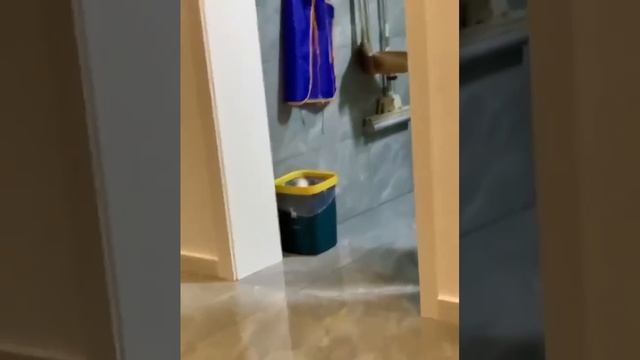 VID_20231027_095631_446.mp4