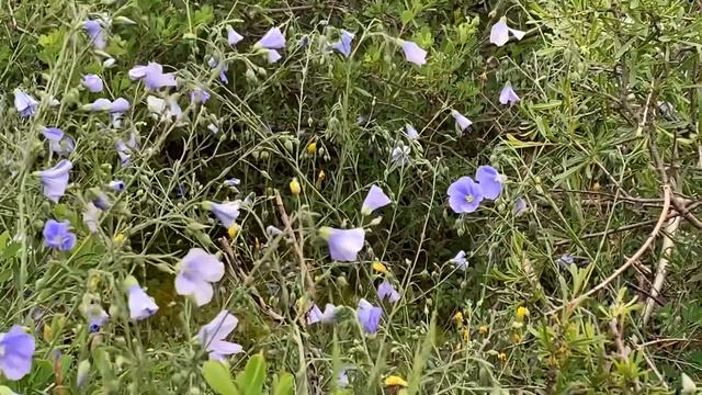 Сулакский каньон.Дагестан смотреть онлайн