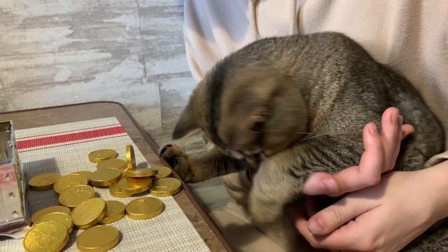 Как Xbox Xcloud заменяет Xbox Series S? смотреть онлайн