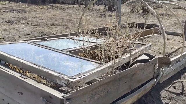 Все собрались на праздник. Жарим шашлыки. смотреть онлайн
