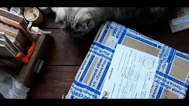 Влог/ октябрь 2020/ Скрапбукинг смотреть онлайн