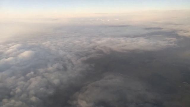 Boeing 737-800 / "Победа" / Санкт-Петербург - Москва / Пулково / Внуково смотреть онлайн