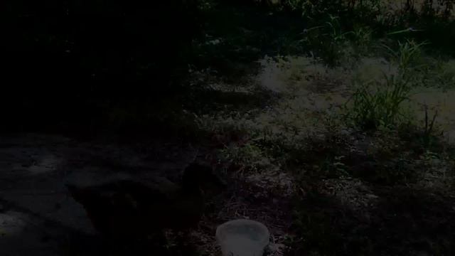 Skeeter 29.97fps - Sony HDR-CX130 Handycam 1080p Test смотреть онлайн