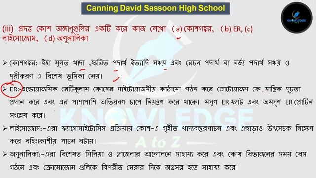 Class 9 Prosno Bichitra 2023 | Life Science | Canning David Sassoon High School | Page - 329 смотреть онлайн
