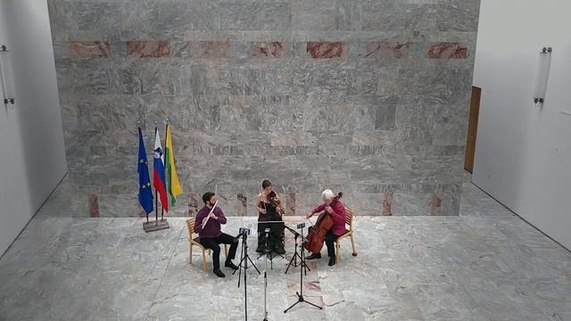 Ludwig van Beethoven: Variations on theme “La ci darem la mano” смотреть онлайн