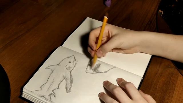 скетчу акулок//sketch of shark смотреть онлайн