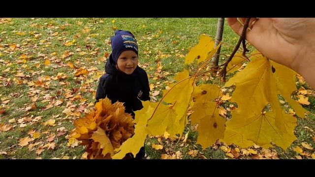 ОСЕННИЙ ЛИСТОПАД смотреть онлайн