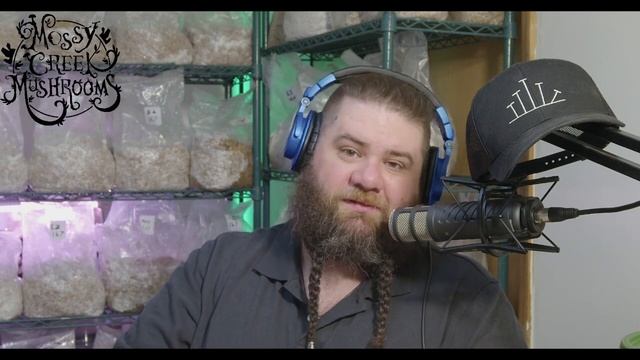 Lions Mane Mushroom And Other Hericiums: How To Grow Mushrooms