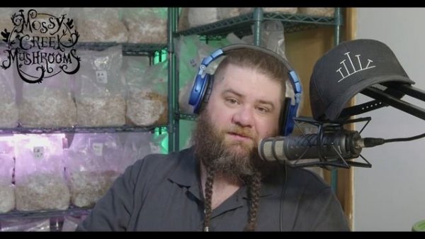 Lions Mane Mushroom and Other Hericiums: How to Grow Mushrooms