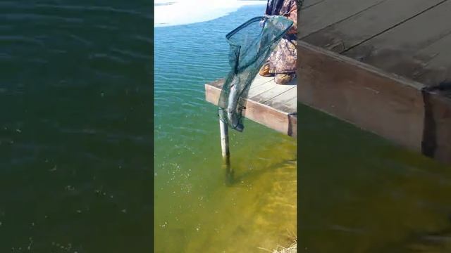 Рыбалка в рыболовном клубе "Юрково" смотреть онлайн