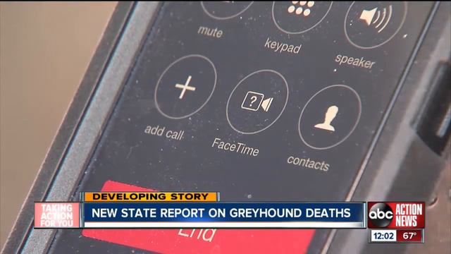 Report: Derby Lane among tops in greyhound deaths смотреть онлайн